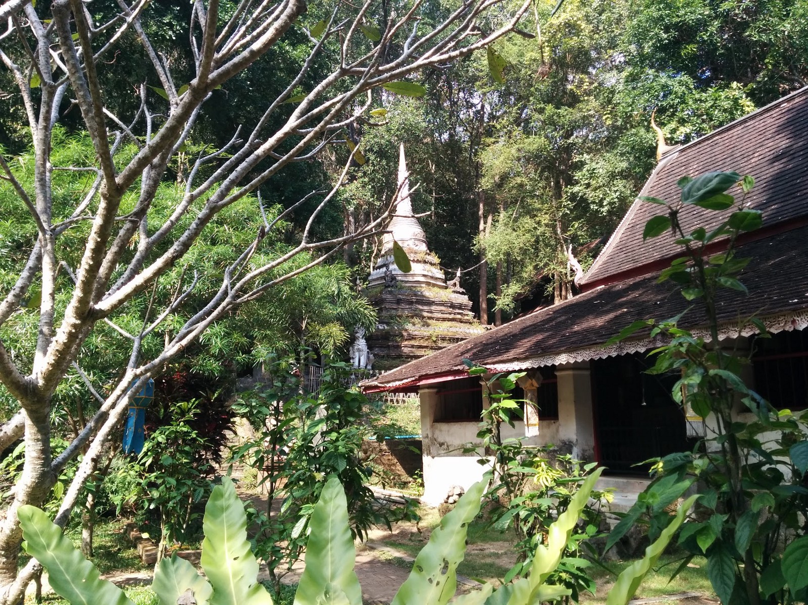 Chiang Mai 20