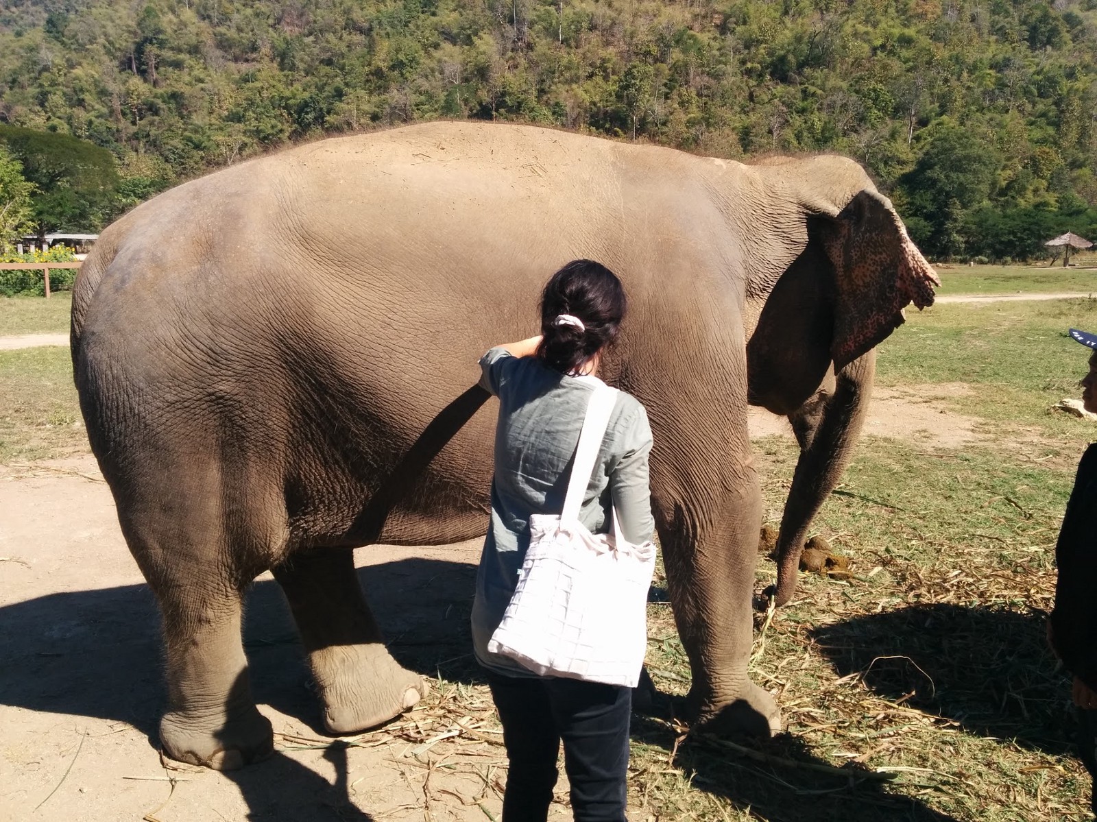 Chiang Mai 7