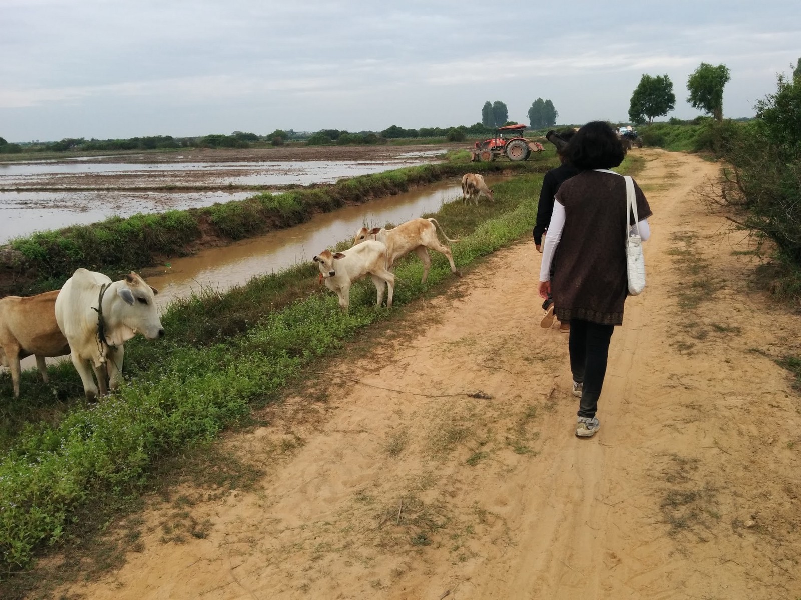 Siem Reap 13